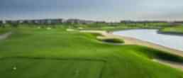Tee at Dreamland Golf Club